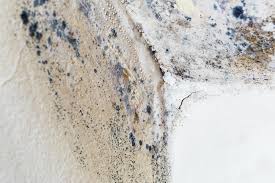 Best Residential Mold Inspection & Testing in Highland, MD